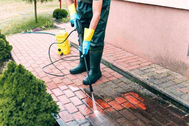 Best Warehouse Cleaning  in Breckenridge, MN
