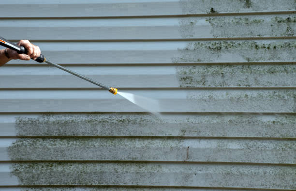 Best Solar Panel Cleaning  in Breckenridge, MN